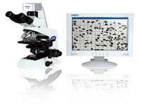 PIP8.1�Ϳ���ͼ������PIP8.1��