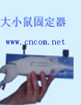 ��С��̶���/m315437