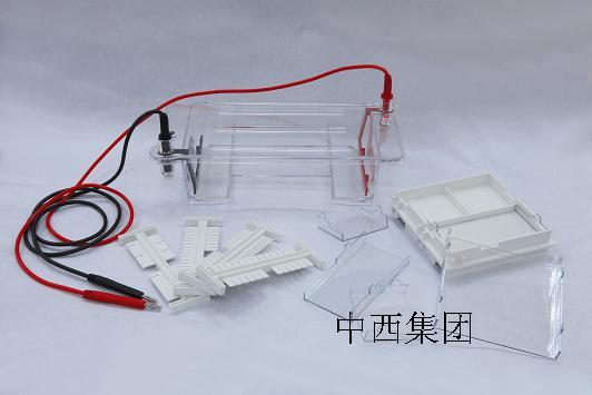 ��֬��ˮƽ��Ӿ�ۣ�С��ģ�ߣ�/m307991