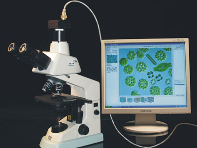 ���������|������������ǡ�Ѹ��Algacount C100���������