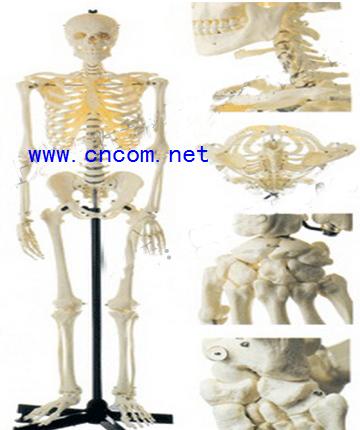 ����ģ��-����ȫ������ģ��