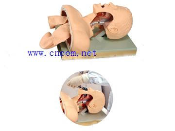 ����ģ��-�߼����ܲ��ѵ��ģ�ͣ���������