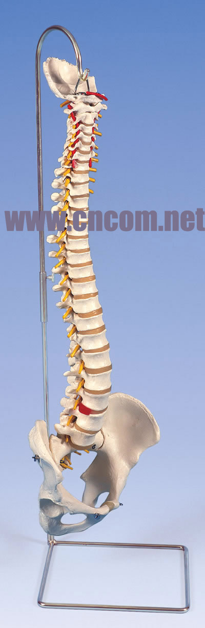 �¹�3B�������ģ��-�����ڻ����ģ�� �ͺ�:M323931