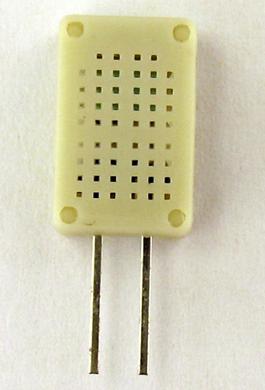 HR31ʪ������