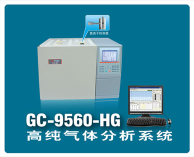 GC-9560-HG氦离子化气相色谱仪GC-9560-HG