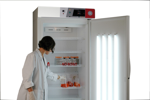 ����shellab����