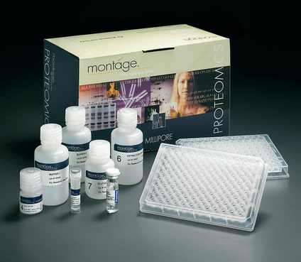 ���Ӱ׽���8(IL-8)ELISA�Լ���