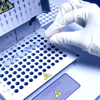 �˵����Ұ�������ø��PTP/PTPase/CD148��ELISA�Լ���