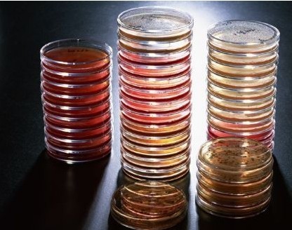 BD ����������������254920