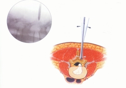 �ǿƶ�λ����