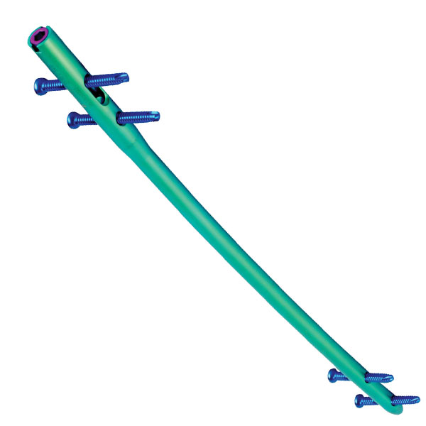 �ǿ���������