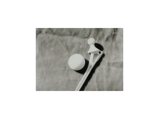 �ǿ�˫ͷ�����ݶ���е