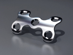 �ǿ��ƹǸְ�