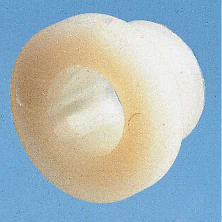 �ǿ��ݶ���Ƭ