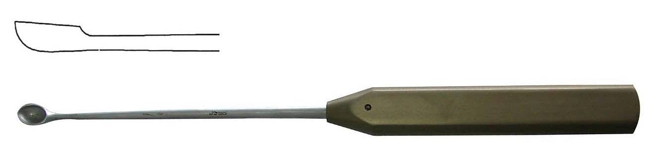 ������Թγ�