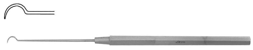 �������Ĥ����