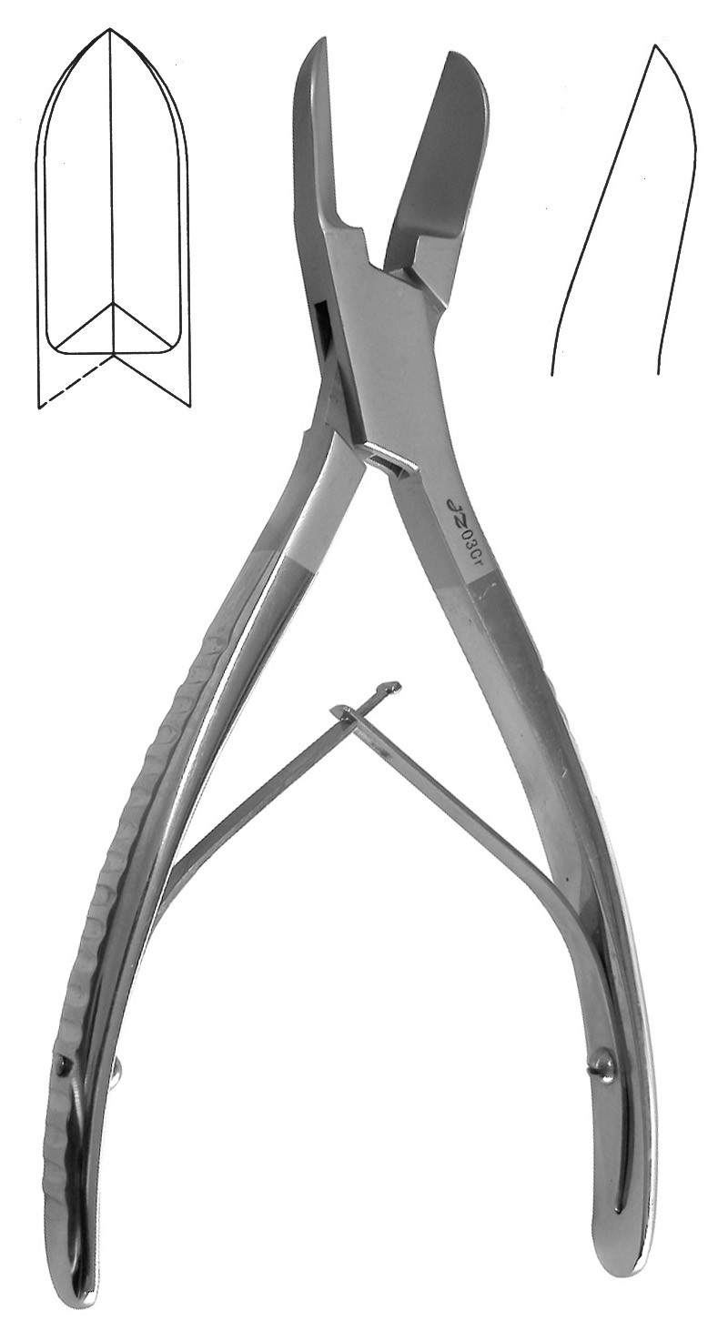 �ǿƵ��ؽڹǼ�