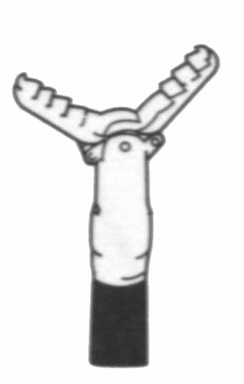 �ۿ���ֲ���п���