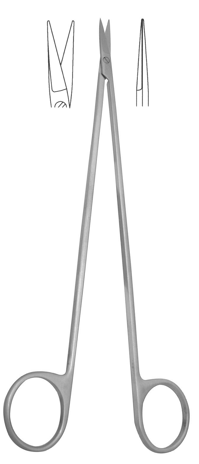 ����������񾭼�