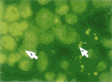 ����ë��ϸ��JAR