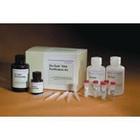 С������Y NPY ELISA�Լ���