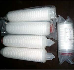 �㶫��о|��о�㶫|�㶫΢��Ĥ��о