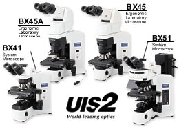 日本奥林巴斯系统显微镜BX51T-12F01
