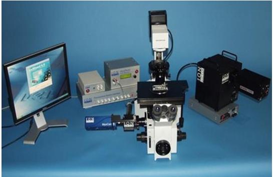 ������Ũ�Ȳ�������