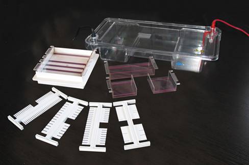 ��֬��ˮƽ��Ӿ�ǣ��ۣ�