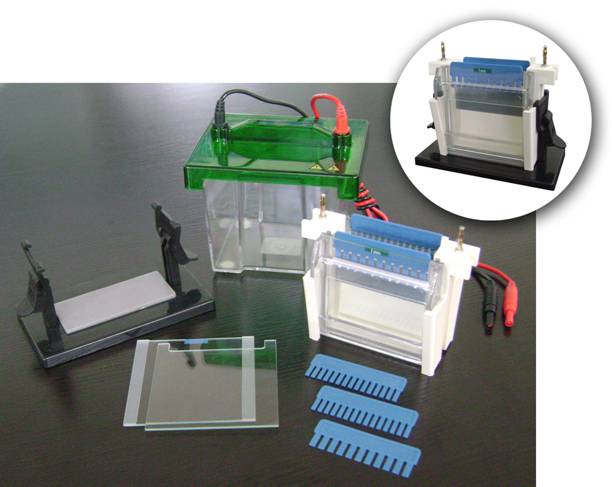 ����˫��ֱ���׵�Ӿ�ǣ��ۣ�