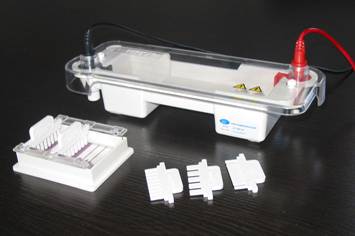 ΢����֬��ˮƽ��Ӿ�ǣ��ۣ�