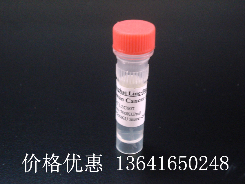 Anti-VEGFR2 VEGF-R2 Flk1/FITCӫ���ر��Ѫ����Ƥ������������2����IgG