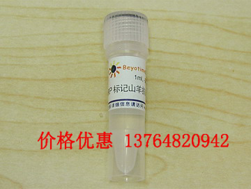 ӫ���ر�ǿ�CD40L����IgG