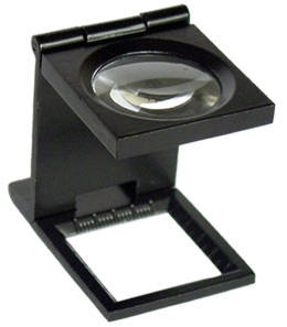 10��������ʽ�Ŵ�