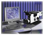 ����ʽ������΢��