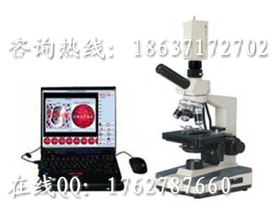 һ��Ѫ�����