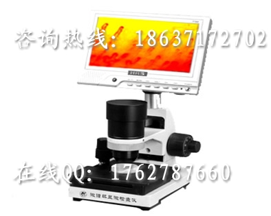 ΢ѭ�������