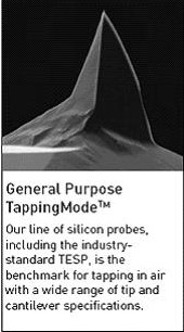 ԭ������΢��AFM̽��