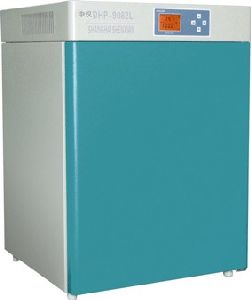 ���Ⱥ���������