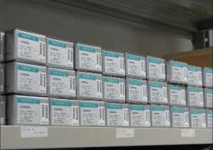 ����ɫ������������