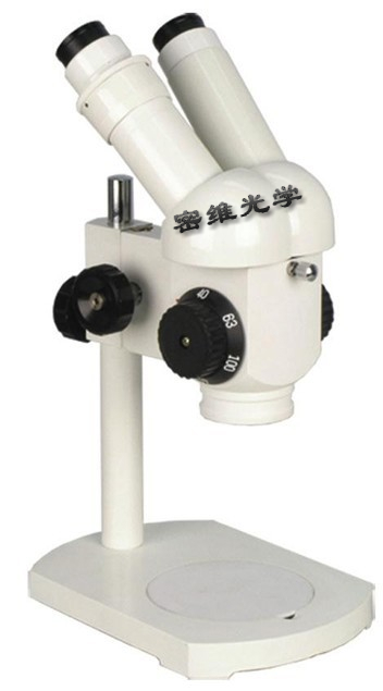 XTT������΢��