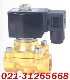 ZSֱ��ʽ��ŷ�