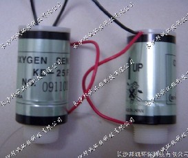 CEMS�����KE-25