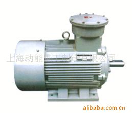 YB2ϵ�з������ �ͺ�:DND12-YB2100L2-4 ��ţ�M287830