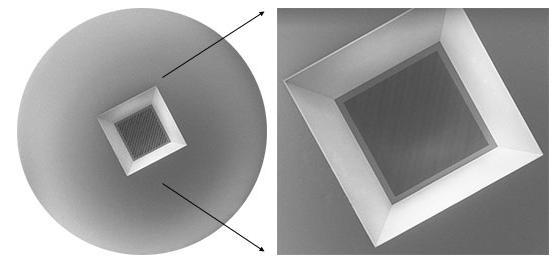 TEM�ö�׵����象Ĥ��