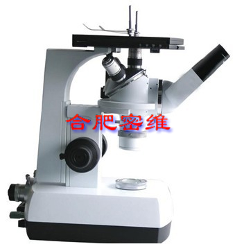 4XAϵ��      ������΢��