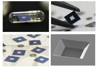 �����象Ĥ����