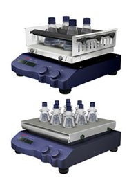 Բ�ܣ����ԣ�������ҡ��