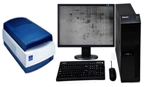 ��Ӿ���ܶȼ�ɨ�����ϵͳ