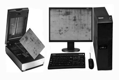 ��Ӿ���ܶ�ɨ����